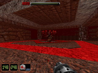 Shadow Warrior